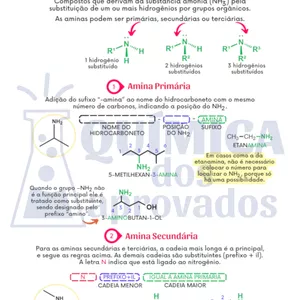 Imagem de capa para o Ebook Resumo sobre Funções Nitrogenadas