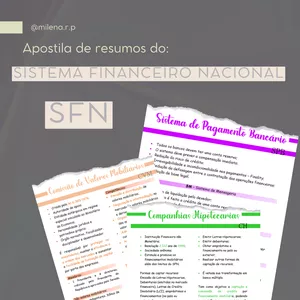 Imagem de capa para o Ebook Apostila Sistema Financeiro Nacional + Fluxograma