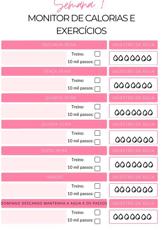 PROGRAMA DE PERDA DE PESO DE 8 SEMANAS — imagem 3