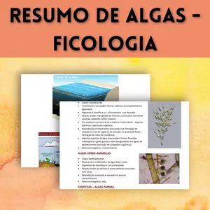 Imagem de capa para o Ebook Resumo de Algas - Ficologia