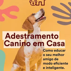 Imagem de capa para o Curso online Adestracão - Adestramento Canino