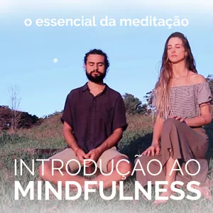 Imagem do curso Curso de Introdução ao Mindfulness - Acolhendo o Agora