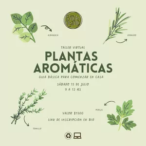 Imagen de portada para Curso online Taller sobre Plantas. Aromáticas 