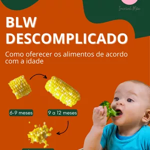Imagem de capa para o Ebook BLW Descomplicado