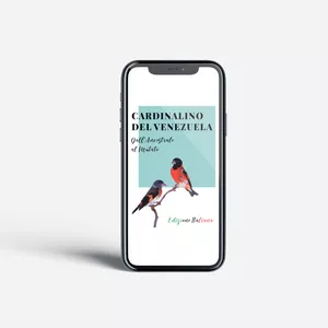 Cover image for Ebook Cardinalino del Venezuela - Dall'Ancestrale al Mutato