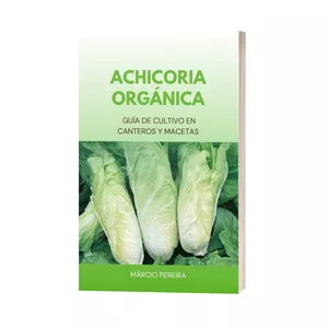 Imagen de portada para Ebook Achicoria Orgánica