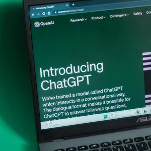 Imagem do curso Meu Site Profissional: Crie Sem Programação e Sem Gastar com Plataformas