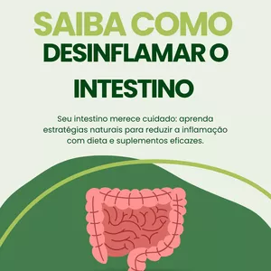 Imagem de capa para o Ebook Saiba como  desinflamar o intestino