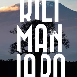 Imagem de capa para o Ebook Lições do Kilimanjaro - Dan Brewster