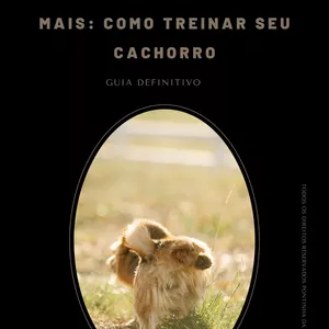 Imagem de capa para o Ebook Xixi no Lugar Errado Nunca Mais: Como Treinar Seu Cachorro