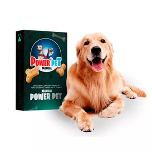 Imagem de capa para o Ebook Manual PowerPet