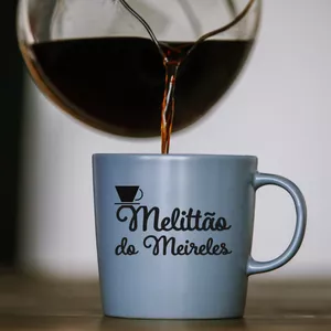 Imagem de capa para o Curso online Melittão do Meireles