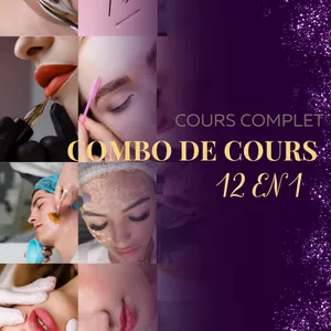Image de couverture pour le Cours en ligne COMBO DE COURS - 12 EM 1 ! FR