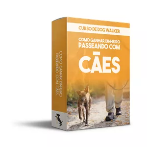 Curso Curso de Dog Walker Profissional