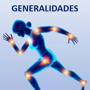 Imagem de capa para o Ebook Anatomia do Sistema Articular