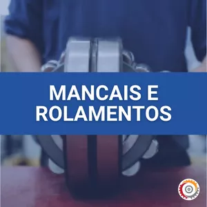 Imagem de capa para o Curso online Expert em Mancais e Rolamentos: Montagem, especificação e inspeção.