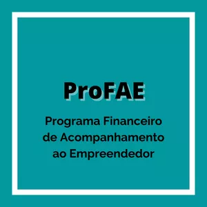 Imagem de capa para o Curso online ProFAE - Programa Financeiro de Acompanhamento ao Empreendedor