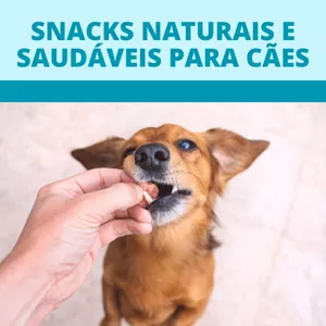 Imagem de capa para o Ebook Snacks Naturais e Saudáveis para Cães
