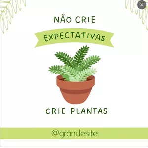 Imagem de capa para o Curso online Frutíferas vasos 