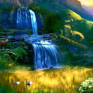 Imagem de capa para o Curso online Imagens