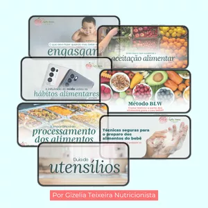 Imagem de capa para o Ebook Dominando a Introdução Alimentar