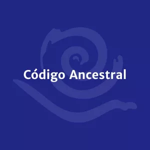 Imagem de capa para o Curso online CÓDIGO ANCESTRAL