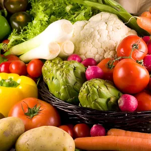 Imagem de capa para o Ebook Receitas vegetarianas 