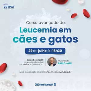 Imagem de capa para o Curso online Curso avançado de LEUCEMIAS em cães e gatos