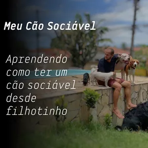 Imagem de capa para o Curso online Meu Cão Sociável - Socializa Cão