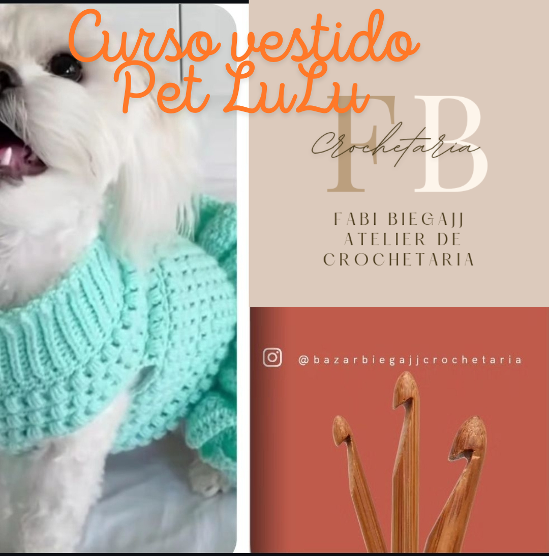 Imagem do curso Curso Vestido Crochê Pet LuLu 