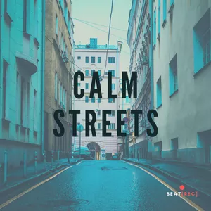 Imagem principal do produto Calm Streets