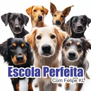 Imagem de capa para o Curso online Escola Perfeita e treinamento para monitores