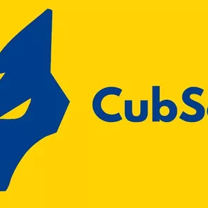 Cover image for Online course Scouting One