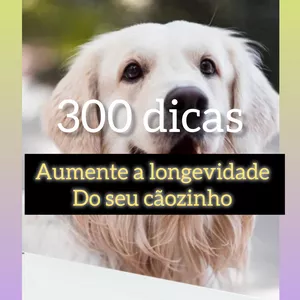 Imagem de capa para o Ebook  Ebook 300 dicas para aumentar a longevidade do seu dog