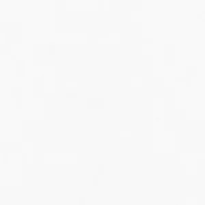 Imagen de portada para Curso online Coqueta De Nieves 