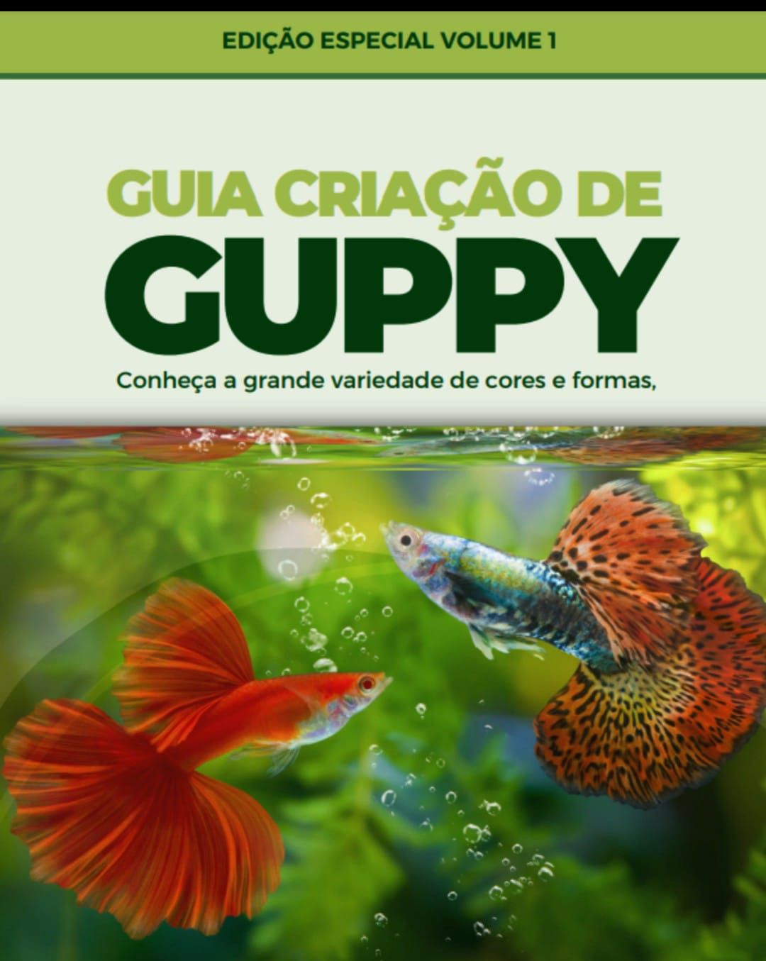 Imagem do produto Guppys de Forma Simples