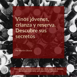 Imagen de portada para Ebook Vinos jóvenes, crianza y reserva. Descubre sus secretos