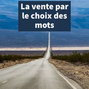 Imagem principal do produto LA VENTE PAR LE CHOIX DES MOTS