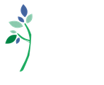 Academia ICM logo