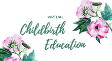 Virtual Childbirth Education  logo