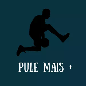 Imagem de capa para o Ebook Pule Mais +
