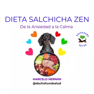 Imagen de portada para Curso online DIETA SALCHICHA ZEN - De la Ansiedad a la Calma en 30 días