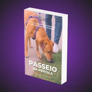 Imagem de capa para o Ebook PASSEIO NA PRÁTICA