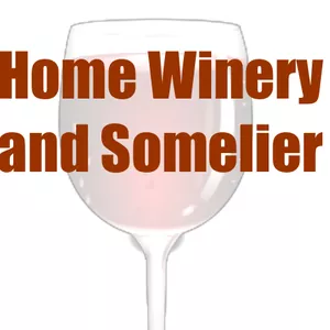 Cover image for Ebook WINES - HOME WINERY AND SOMELIER (E-BOOK).