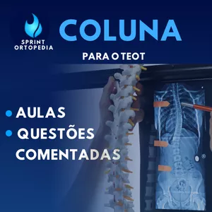 Imagem de capa para o Curso online COLUNA PARA O TEOT