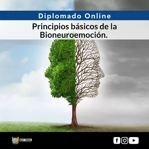 Imagem principal do produto DIPLOMADO PRINCIPIOS BÁSICOS DE LA BIONEUROEMOCIÓN