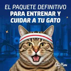 Imagen de portada para Ebook Guía Definitiva de Entrenamiento para Gatos en Casa