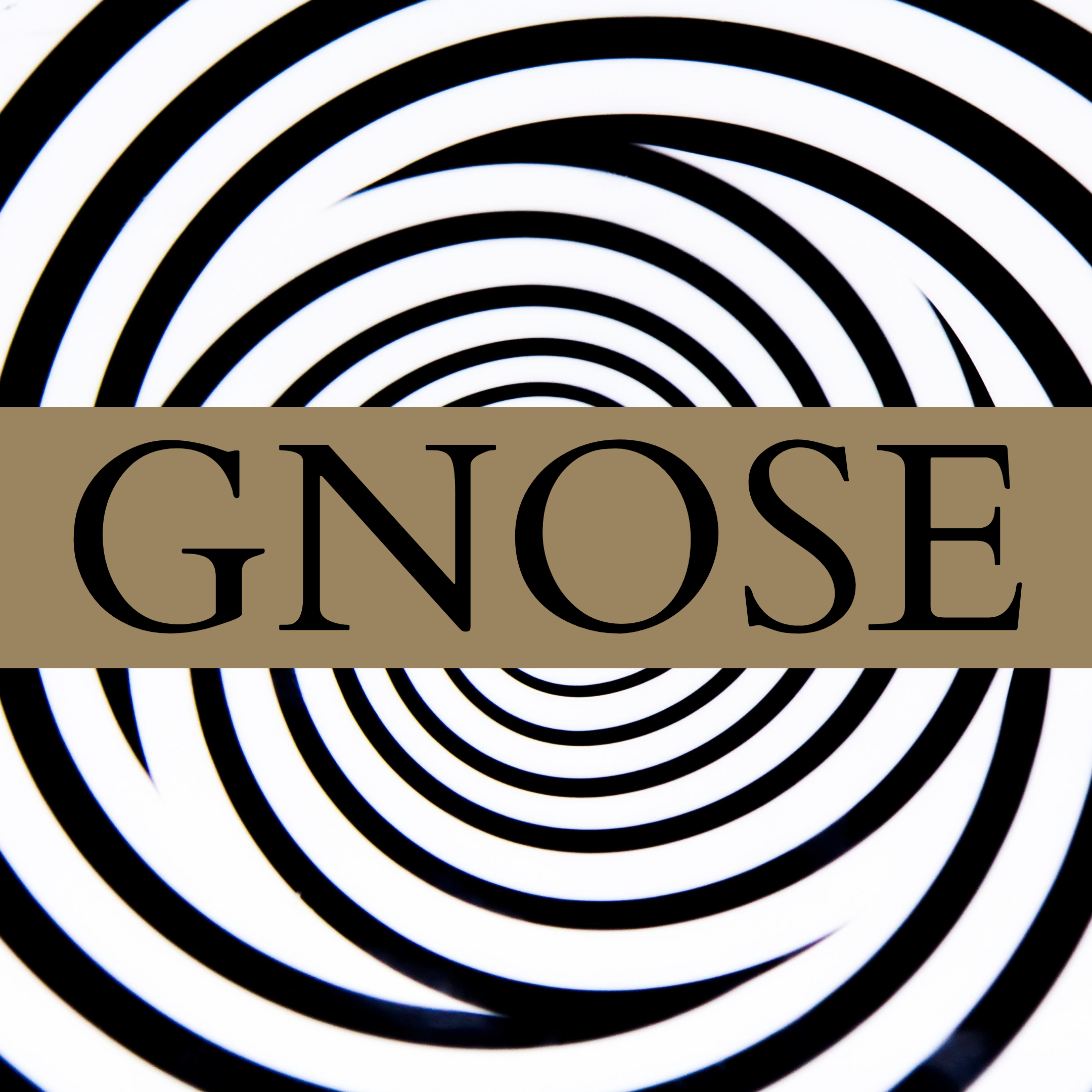 Imagem de CURSO DE GNOSE criado por Pracy na hotmart