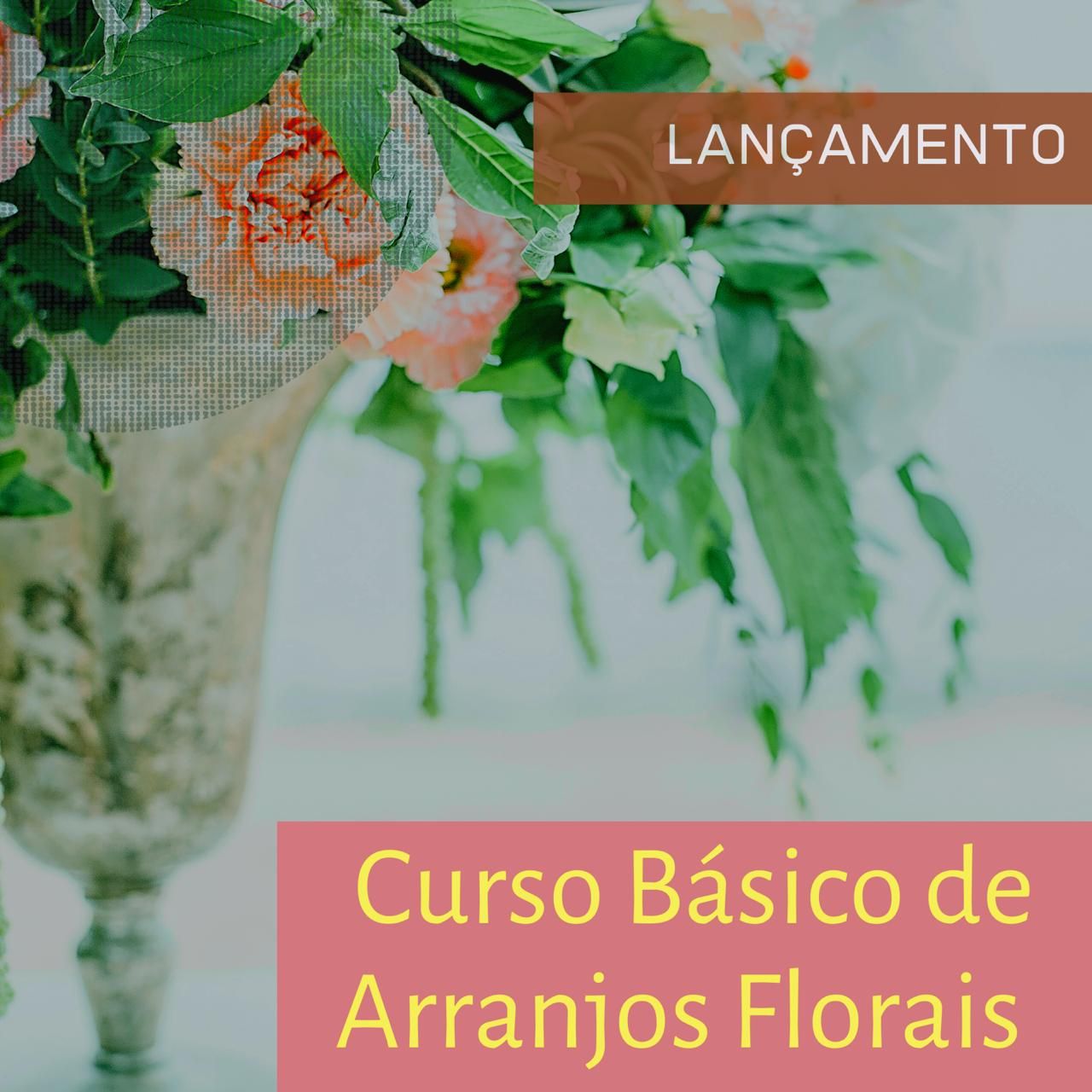 Capa do curso 