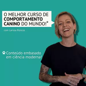 Imagem de capa para o Curso online Curso: Comportamento Canino
